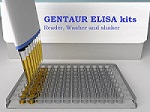ELISA  kit assay